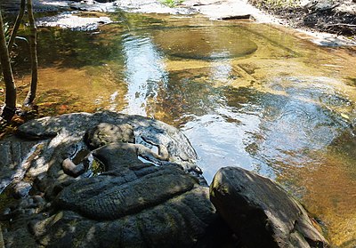 Brahma sculpture with Yoni in Kbal Spean, Angkor.- (Cambodia)