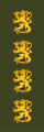 Kenraali(Finnish Army) 