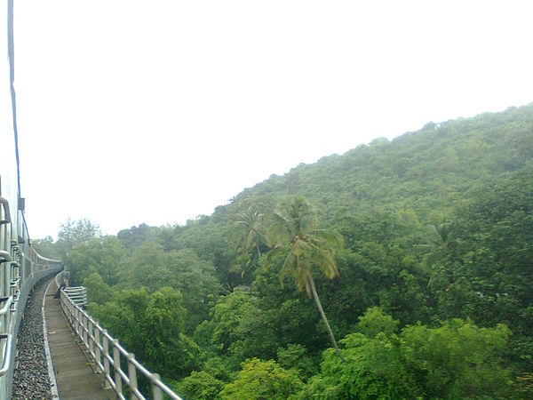 Crossing a long bridge between two hills