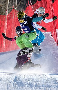 LG Snowboard FIS World Cup (5435928032).jpg