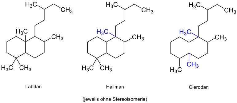 Strukturen von Haliman und Clerodan ausgehend vom Labdan, durch umgelagerte Methylgruppen