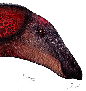 <i>Laiyangosaurus</i> genus of reptiles (fossil)