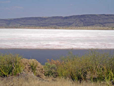 Lago Magadi