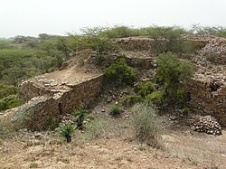 Fortified walls of one of the first fortresses in Delhi, Lal Kot, was built by Raja Anangpal Tomar II of Tomar dynasty. Located in modern day Delhi, Haryana.[1]