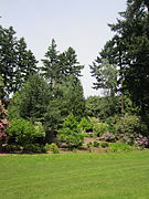 Laurelhurst Park (2012)