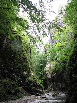 Les Portes Sarrazines, wo die Grand Journans ihren Lauf nehmen.  Der Walker unten rechts gibt die Größe des Ortes an.