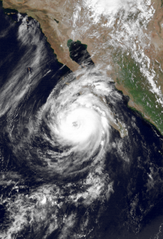 <span class="mw-page-title-main">Hurricane Lester (1992)</span> Category 1 Pacific hurricane in 1992