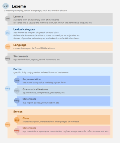 Visualisation du modèle de données Lexeme