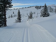 Foto einer schneebedeckten hügligen Landschaft mit einer Loipe