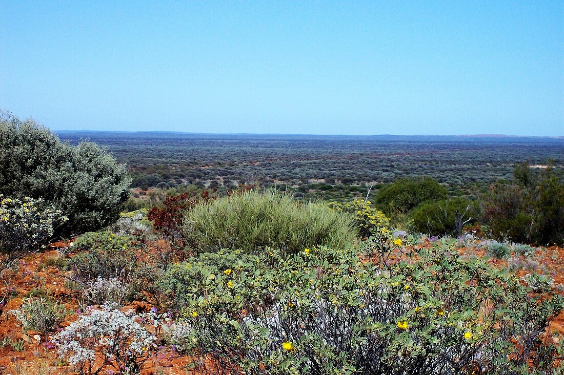 Goldfields-Esperance