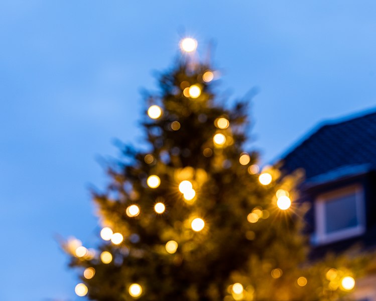 File:Münster, Spiekerhof, Weihnachtsbaum -- 2021 -- 9089.jpg