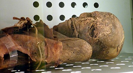 Mummy of San Andrés in the Museo de la Naturaleza y el Hombre (Santa Cruz de Tenerife)