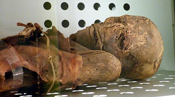 Guanche mummy in Museo de la Naturaleza y el Hombre of Santa Cruz de Tenerife