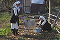 Macedonian folklore womens milking goat