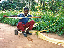 Removing the membrane Making raffia rope.jpg