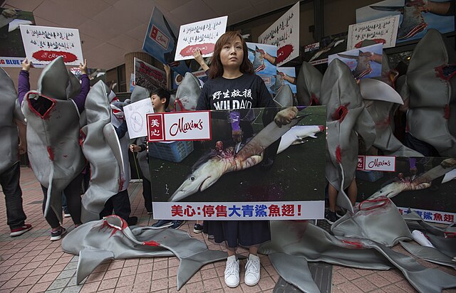 Anti-shark finning protest at Maxim's restaurant at the University of Hong Kong 10 February 2018