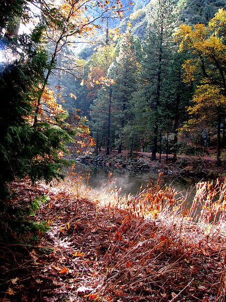 File:Merced River Yosemite National Park (3023292852).jpg