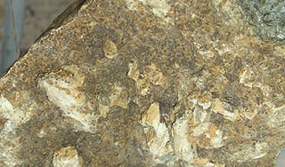 <span class="mw-page-title-main">Hydroxyapatite</span> Naturally occurring mineral form of calcium apatite