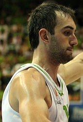 Бегиќ за време на Евробаскет 2013