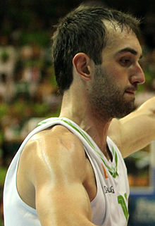 Mirza Begiç 2013.jpg