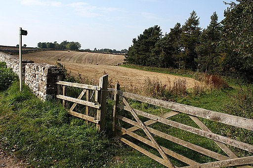 Miserden Field Gates and Public Footpath - geograph.org.uk - 1712132