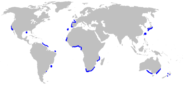 Distribución da quenlla fociñuda