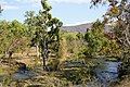 * Nomination Moyar River near Log House, Theppakadu, Mudumalai National Park, India --Tagooty 00:31, 1 April 2021 (UTC) * Promotion  Support Good quality, but it would be better with more space at the top. The tree at the left should be visible. --XRay 04:01, 1 April 2021 (UTC)