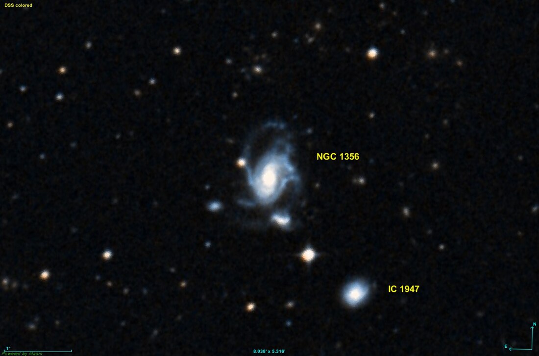 NGC 1356