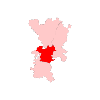 <span class="mw-page-title-main">Narnaul Assembly constituency</span> Legislative Assembly constituency in Haryana State, India