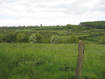 Naturschutzgebiet Niedernfeld 1