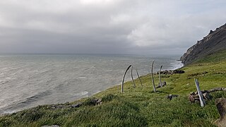 Structure en os de baleine, proximité du site de Naukan (2018)