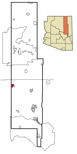 Áreas incorporadas y no incorporadas del condado de Navajo Winslow destacado.svg