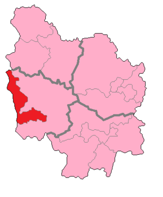 <span class="mw-page-title-main">Nièvre's 1st constituency</span> Constituency of the National Assembly of France