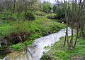 Noce creek near Cascine Nuove