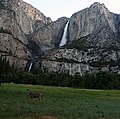 Yosemitské vodopády