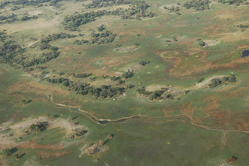 File:Okavango Delta, Botswana (2674351173).jpg