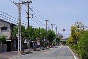 日本人にとってはありきたりの、架線と電柱だらけの街。ヨーロッパ人は珍しがる。