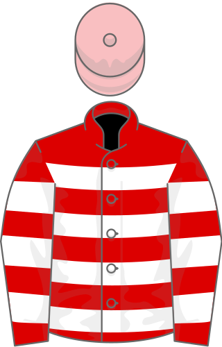 <span class="mw-page-title-main">Mecca's Angel</span> Irish-bred Thoroughbred racehorse