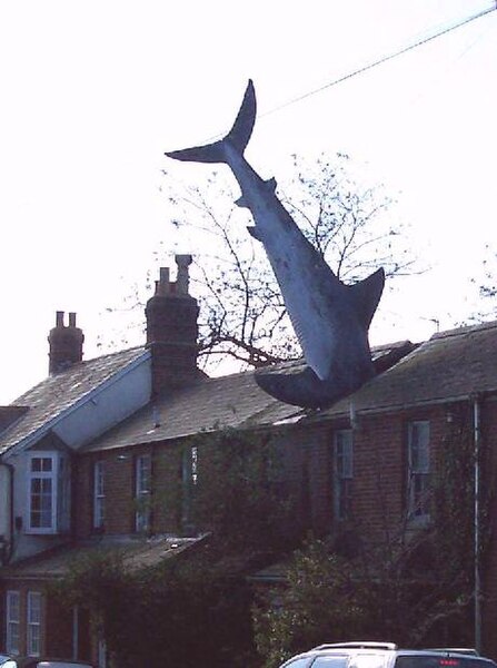 File:Oxford shark.jpg