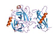 PDB 1l4d EBI.jpg