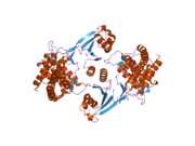 PDB 2cko EBI.png