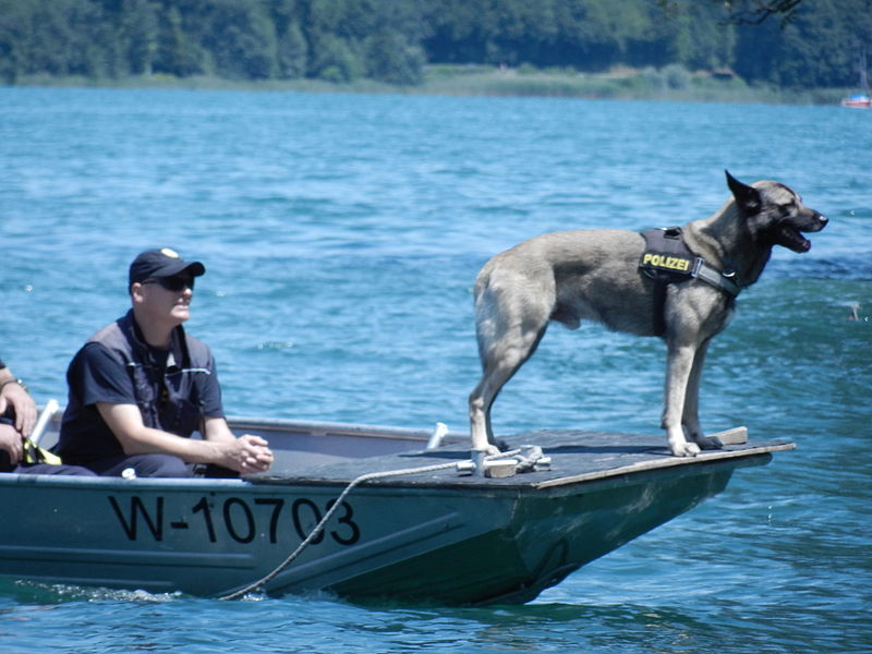 File:POLICIJA NA VRBSKEM JEZERU.JPG