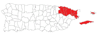 <span class="mw-page-title-main">Puerto Rico Senatorial district VIII</span> Profile and election results