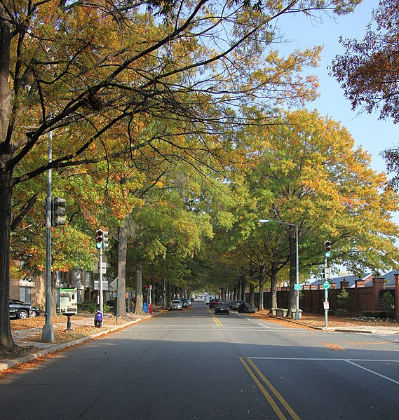 File:P Street SW 01 - looking east - Washington DC.jpg