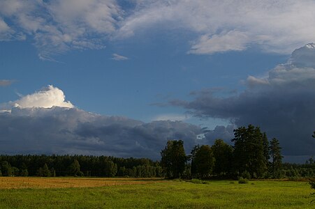 View on Pakapė cementary.