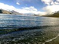 Aigua salobre al Pangong Tso