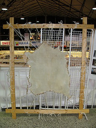 <span class="mw-page-title-main">Parchment</span> Writing material made from animal skins