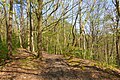 Eastern side of the Iron Age Oldbury Camp. [7]