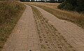 osmwiki:File:Paving stones lanes middle grass paver.jpg