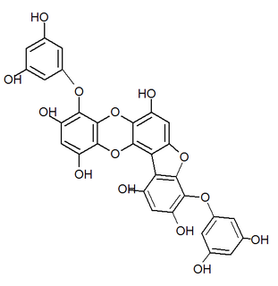 Phlorofucofuroeckol A Chemical compound